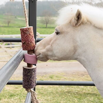 KENTUCKY WOODEN RELAX HORSE TOY WITH SALT LICK SAMMY 