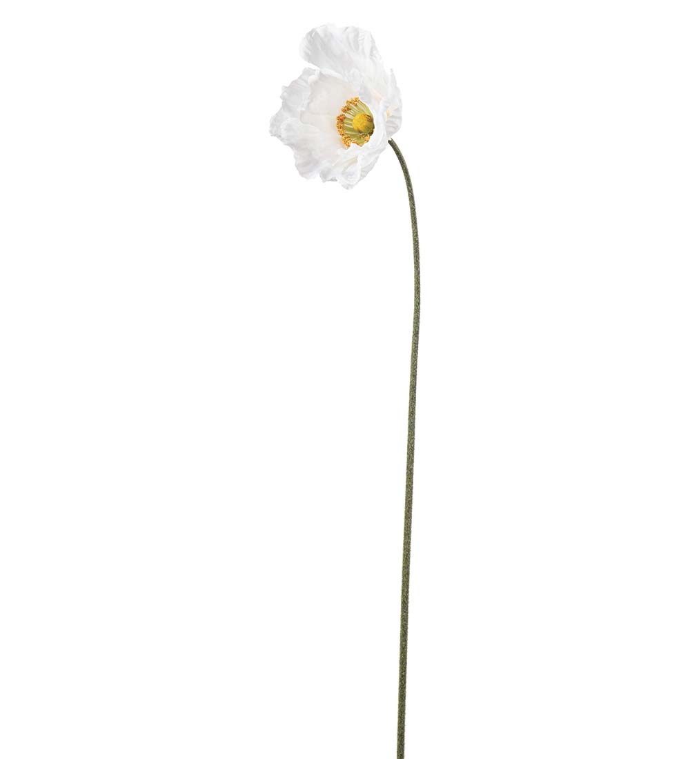 Poppy - Branch - 75 cm - Cream