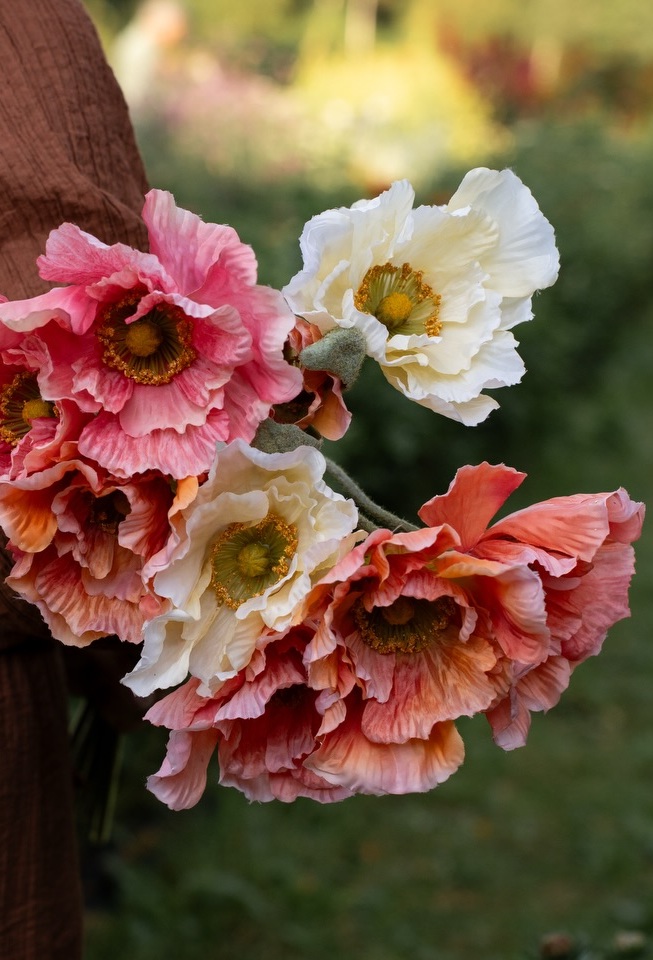 Poppy - Branch - 75 cm - Cream - 2