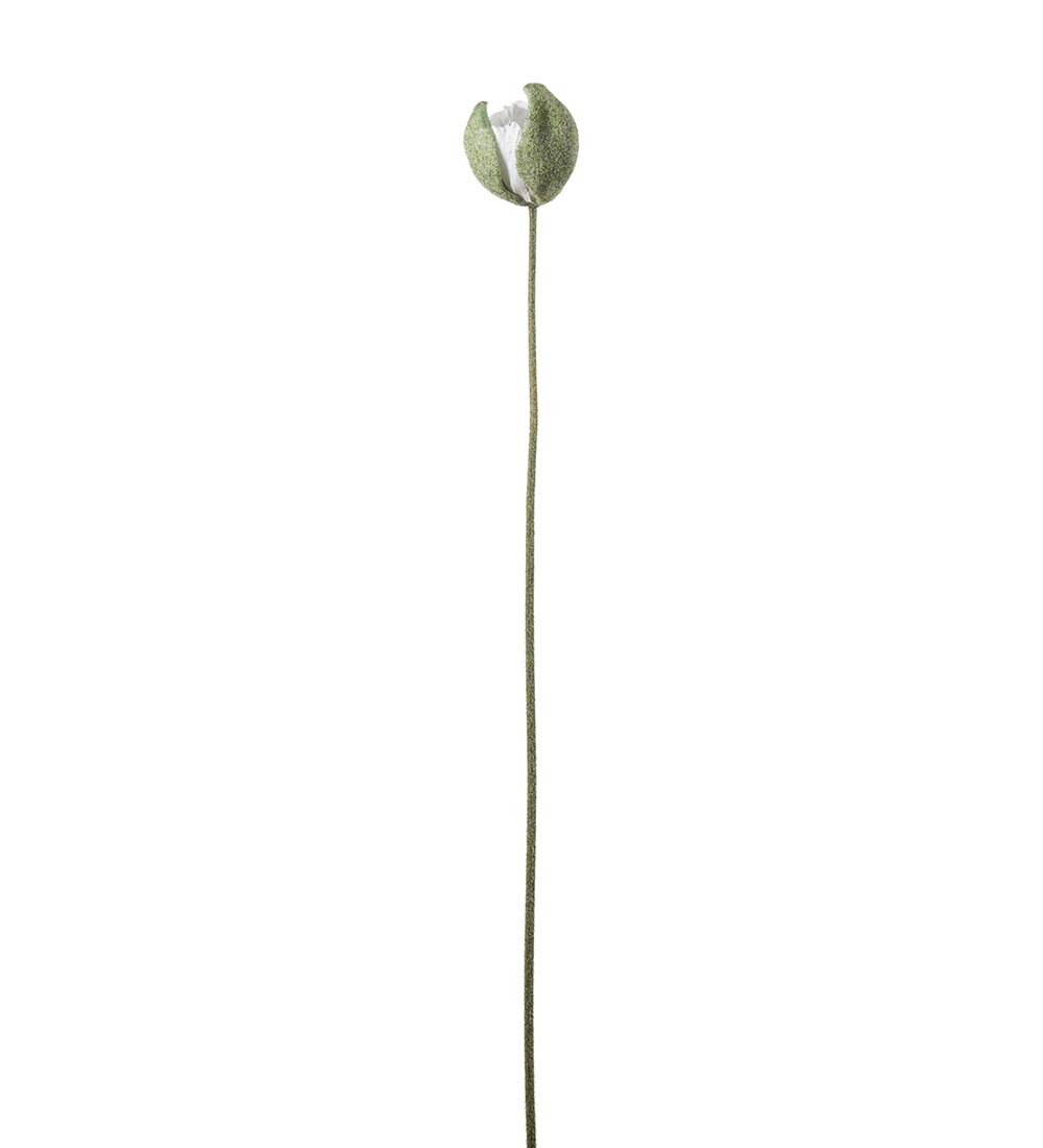 Poppy Bud - 78 cm - Cream - 2