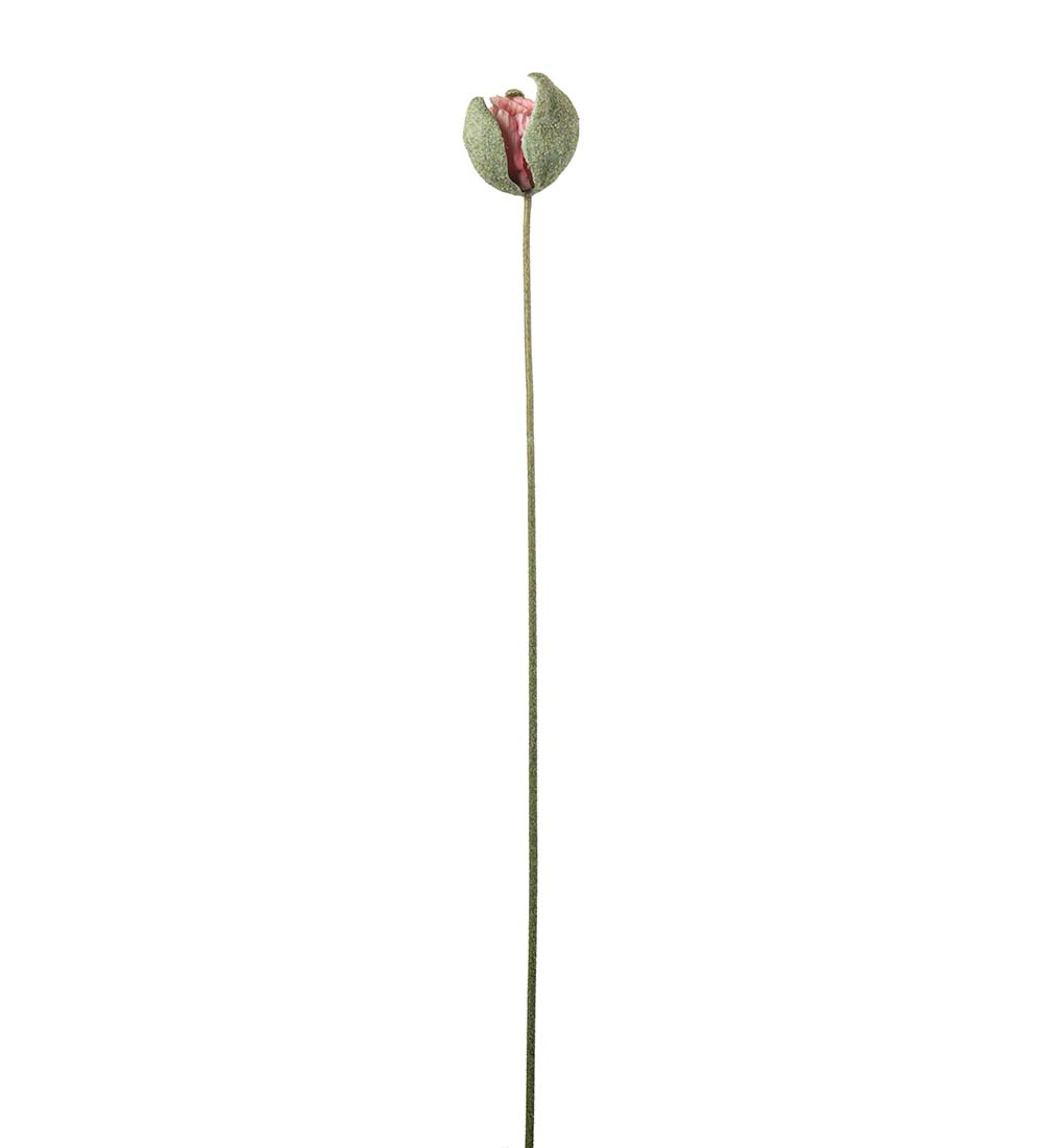 Poppy Bud - 78 cm - Pink - 3