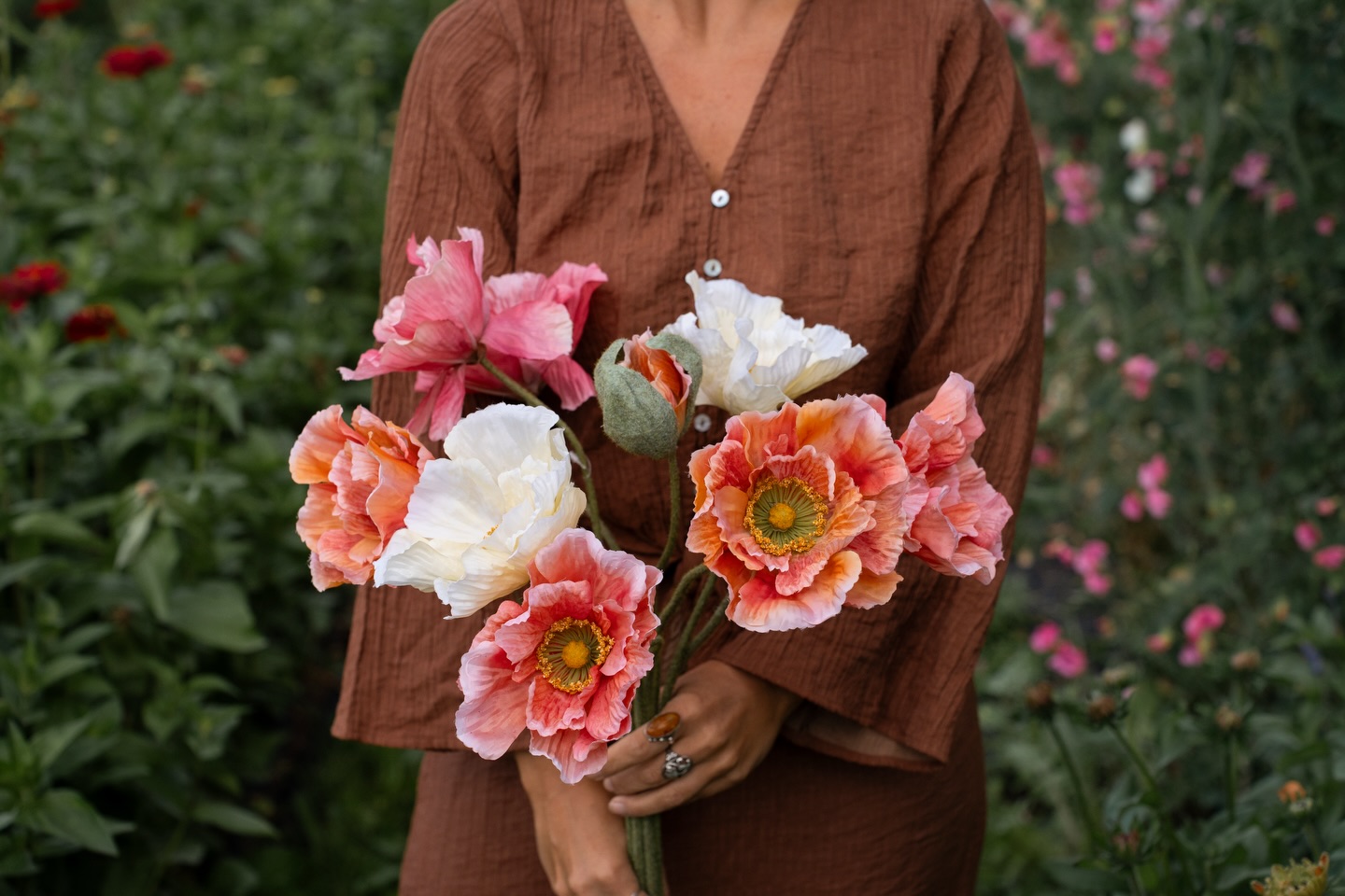 Poppy in pot - 50 cm - Pink - 4