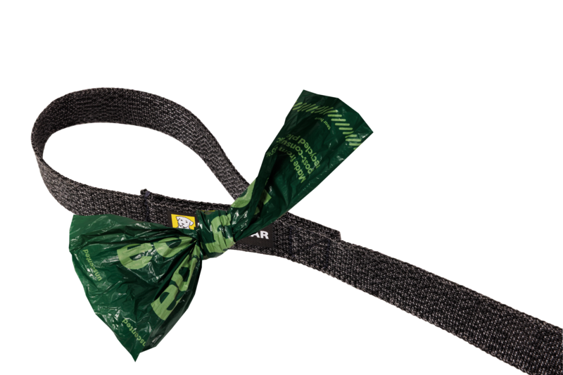 Front Range™ Flex Leash - Basalt Gray - 4