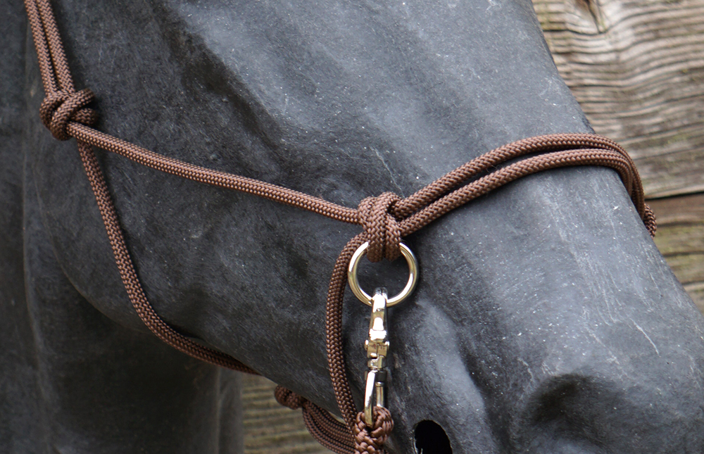 Ridrepgrimma med tyglar Umbria Equitazione , brun - 3