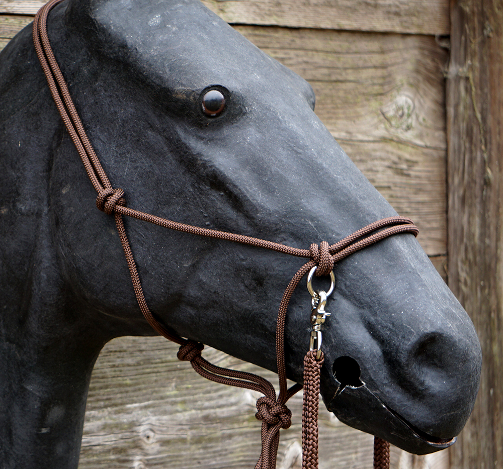 Ridrepgrimma med tyglar Umbria Equitazione , brun