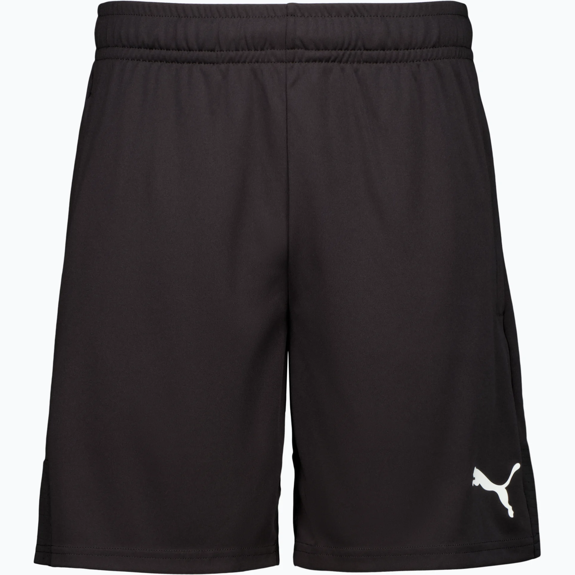 Puma Teamliga Training Shorts (Östra Almby FK)