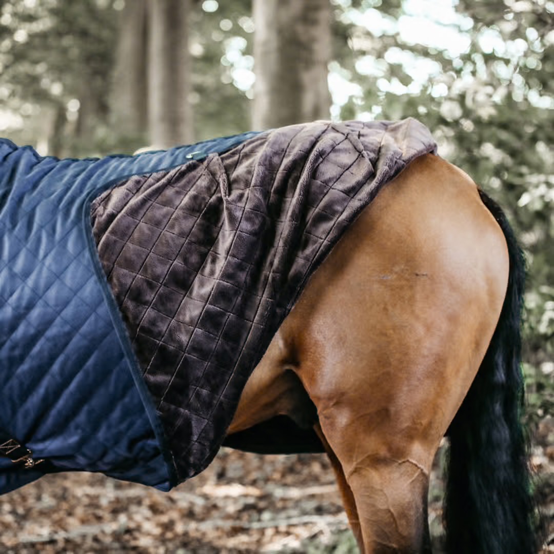 KENTUCKY  Stable rug 0 gr Navy - 5