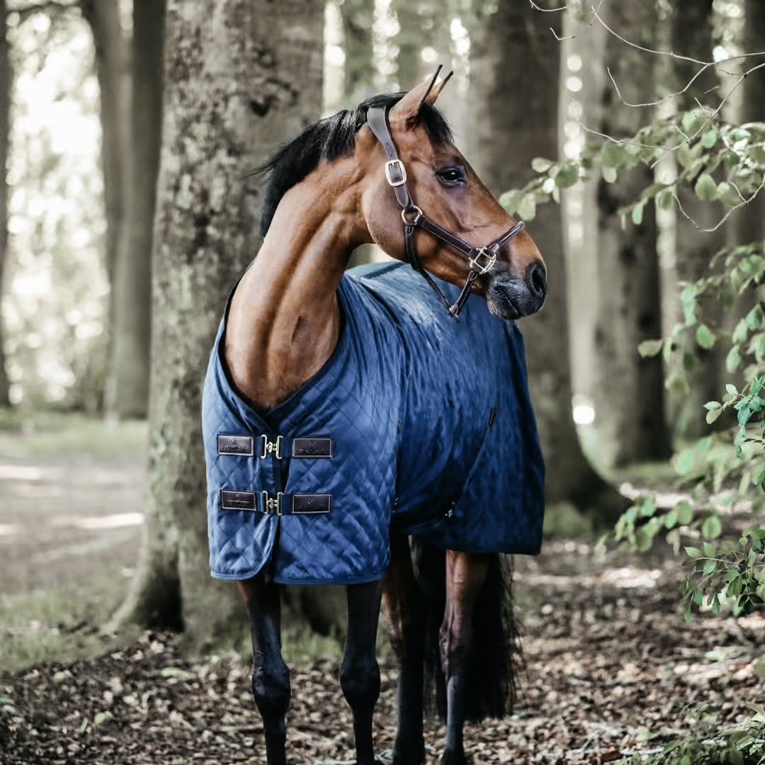 KENTUCKY  Stable rug 0 gr Navy - 4