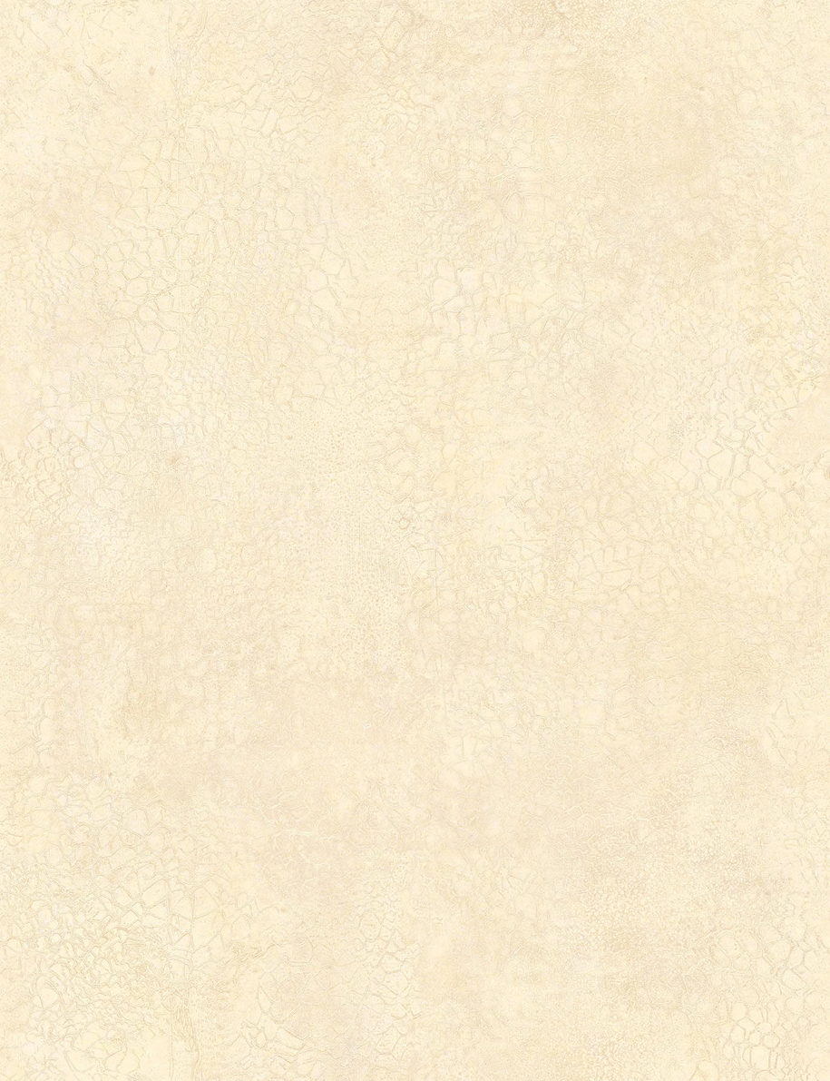 Textures - 1004-7
