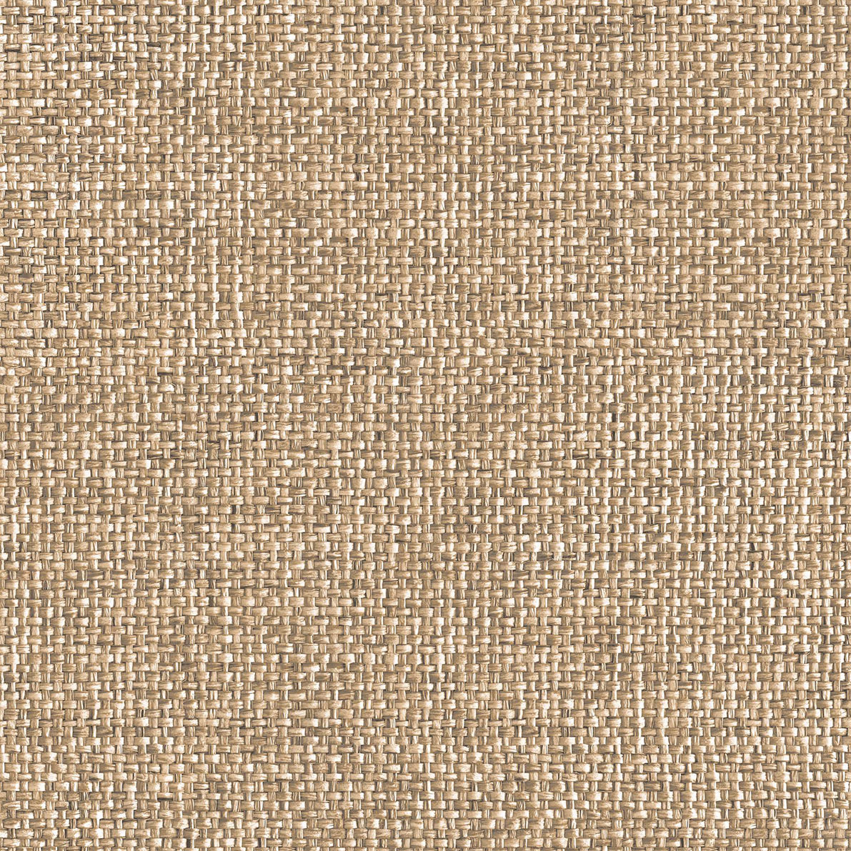 Textures - 2059-1