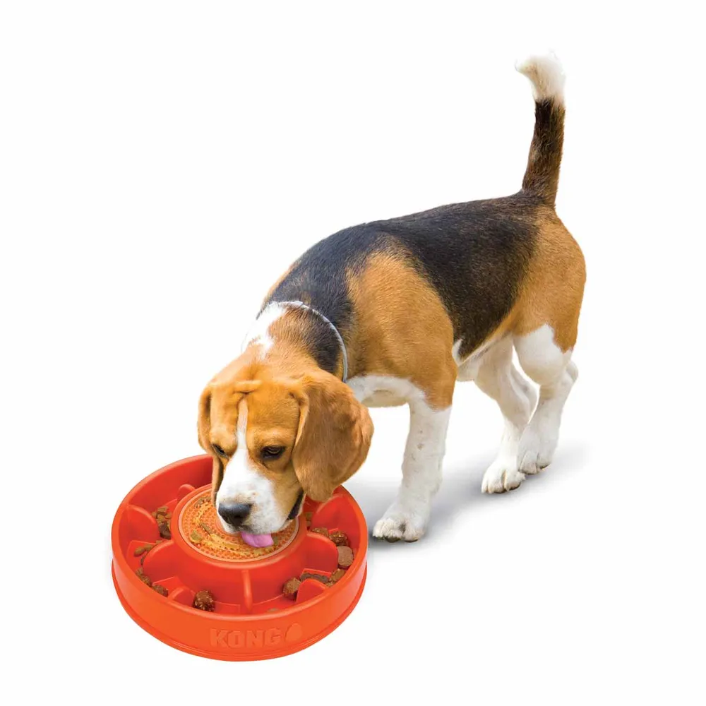 Kong Licks Mealtime - 4