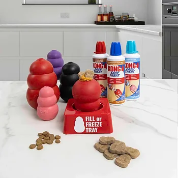 Kong Fill Or Freezetray Single 
