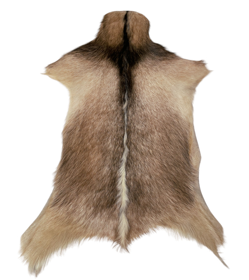 Dekoratives Ziegenleder 65 x 105 cm