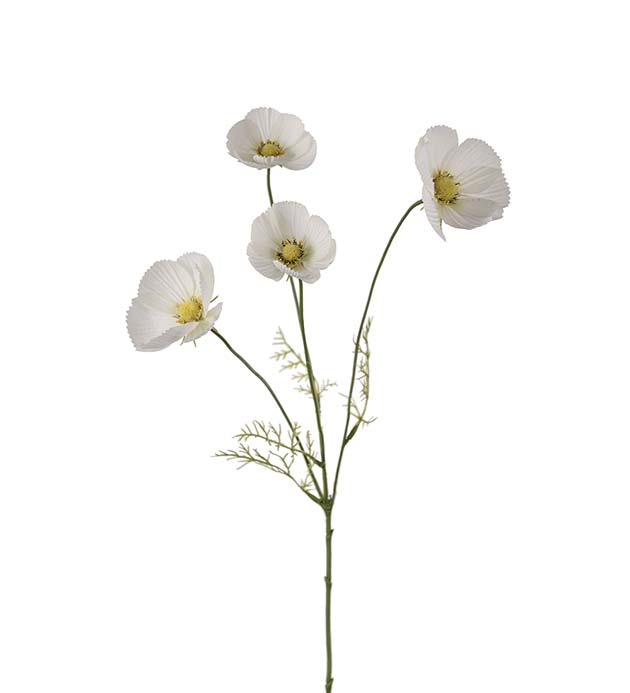 Rosenskära vit 60 cm