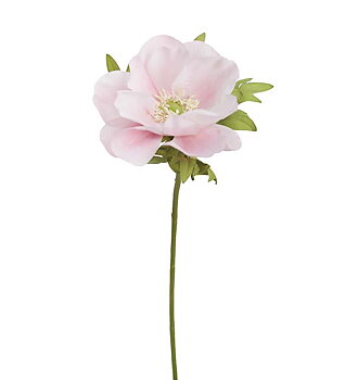 Anemon rosa 43 cm