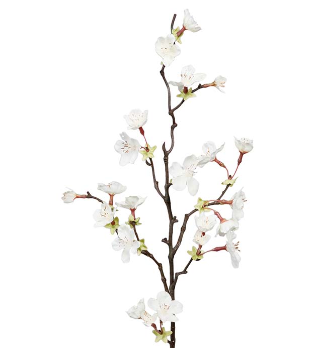 Körsbärsblom vit 60 cm