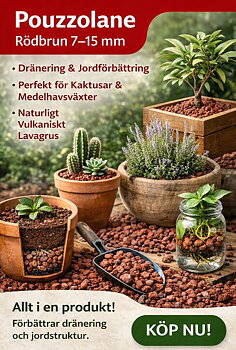 Red/Brown Pouzzolane 7/15 – 6L -  Dränerande lavagrus för starkare växter "EXKLUSIVT!"