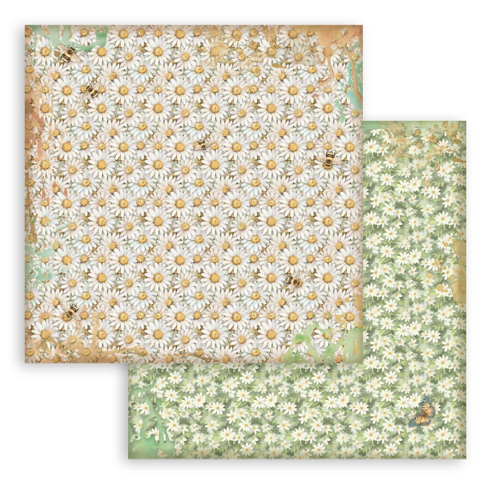 Stamperia - Daisy Art Background selection  - 10 olika dubbelsidiga ark 12x12 - 11