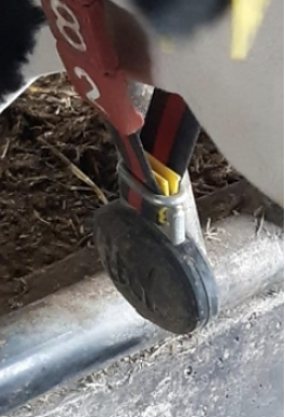 Clip/ Ring för vikter