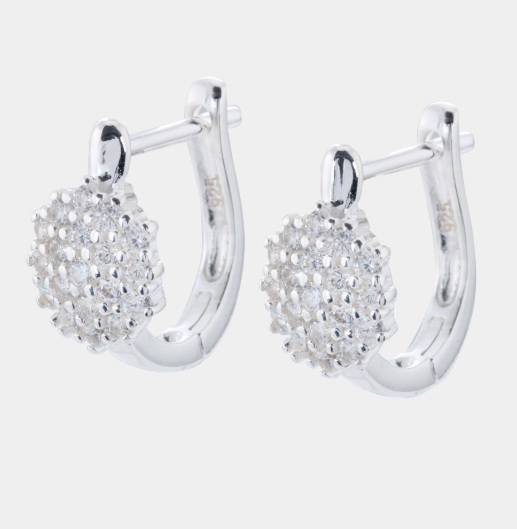 Hopeiset korvakorut Meadow Sparkling