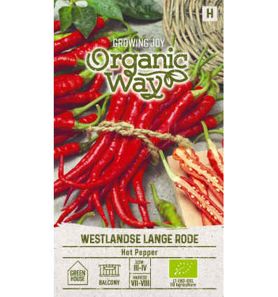 Chili ‘Westlandse Lange Rode’ – Riklig skörd av klassisk lång chili  Organic Way