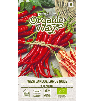 Chili ‘Westlandse Lange Rode’ – Riklig skörd av klassisk lång chili  Organic Way