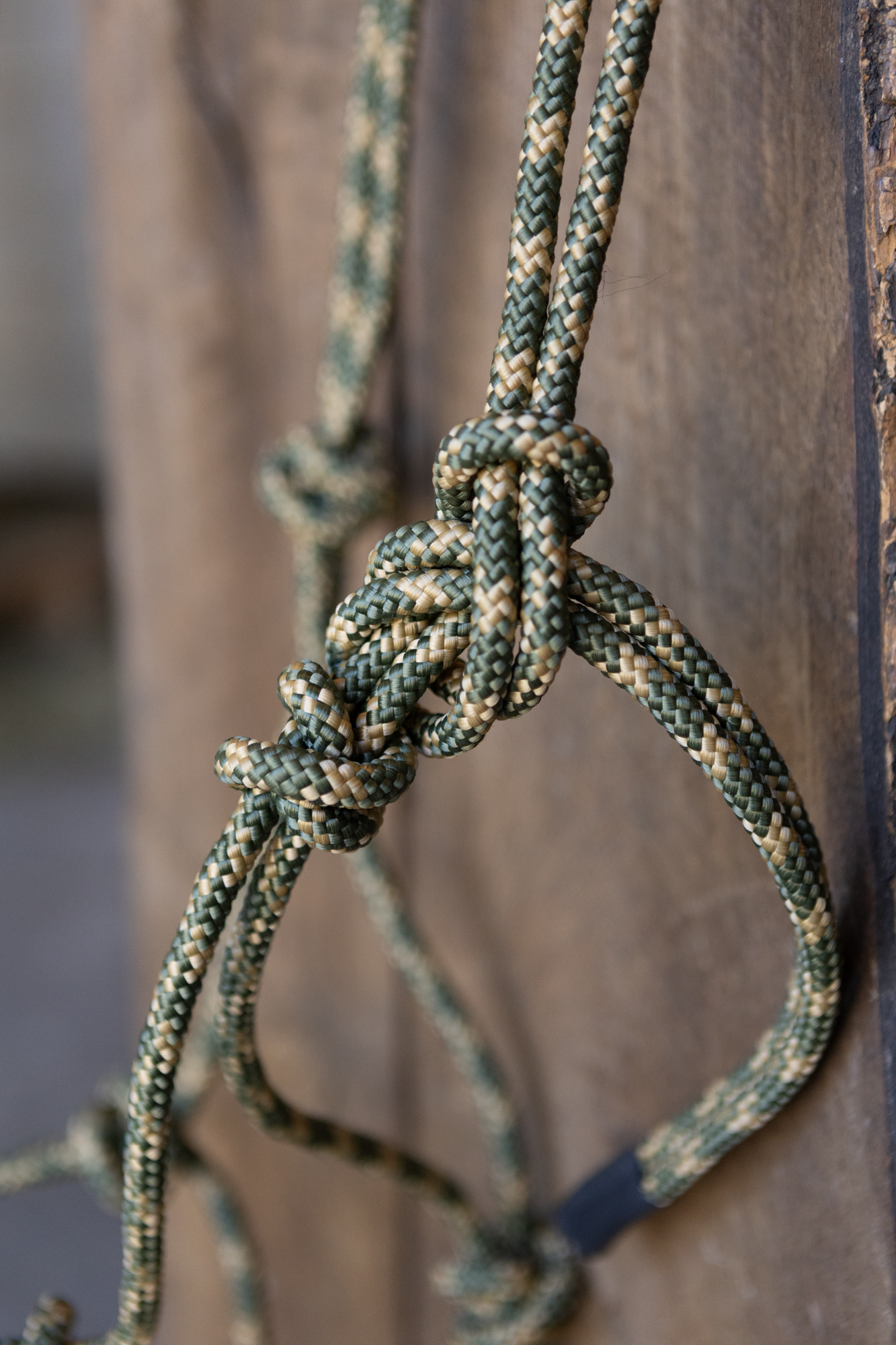 All That Stiff Rope Halter Olive/Tan - 3