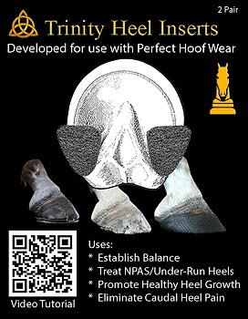 Trinity Heel Inserts 4-pack