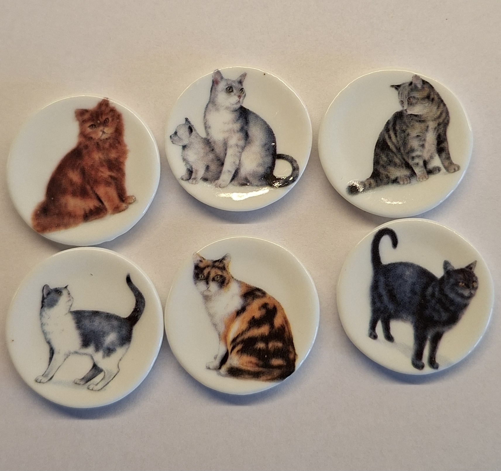 Tallrik med kattmotiv - välj 