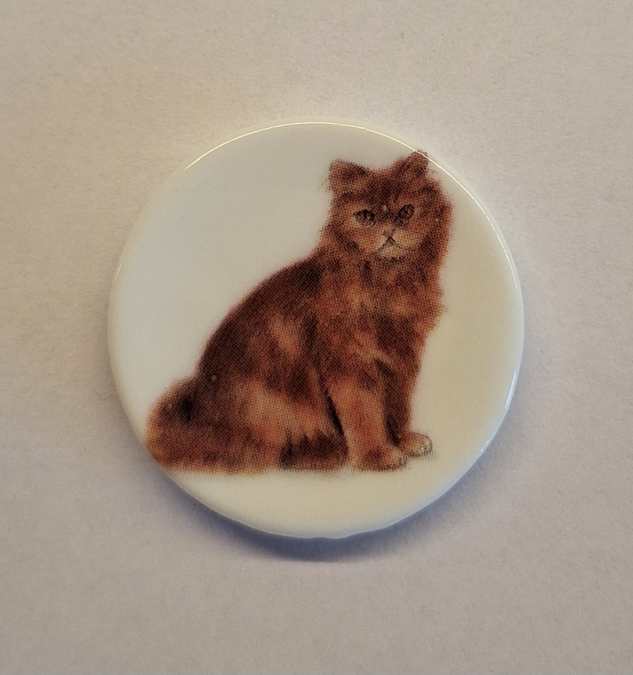 Tallrik med kattmotiv - välj  - 7