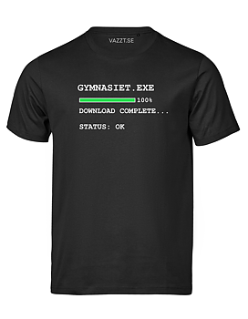 Gymnasiet.exe