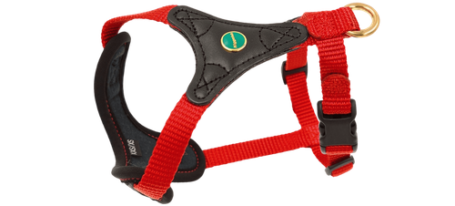 DOG HARNESS FOLLOW START, BLACK-RED, SIZE S/M