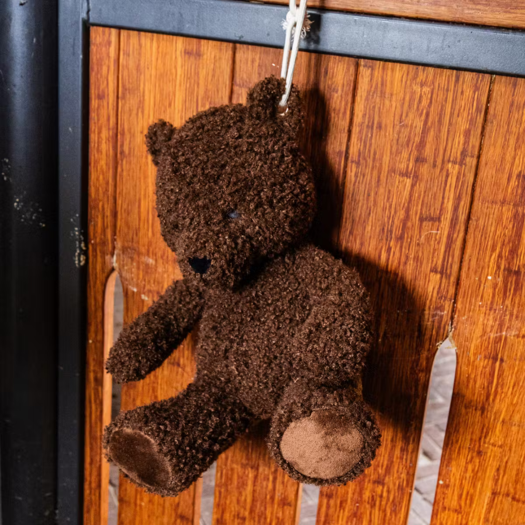 KENTUCKY RELAX HORSE TOY BEAR - 2