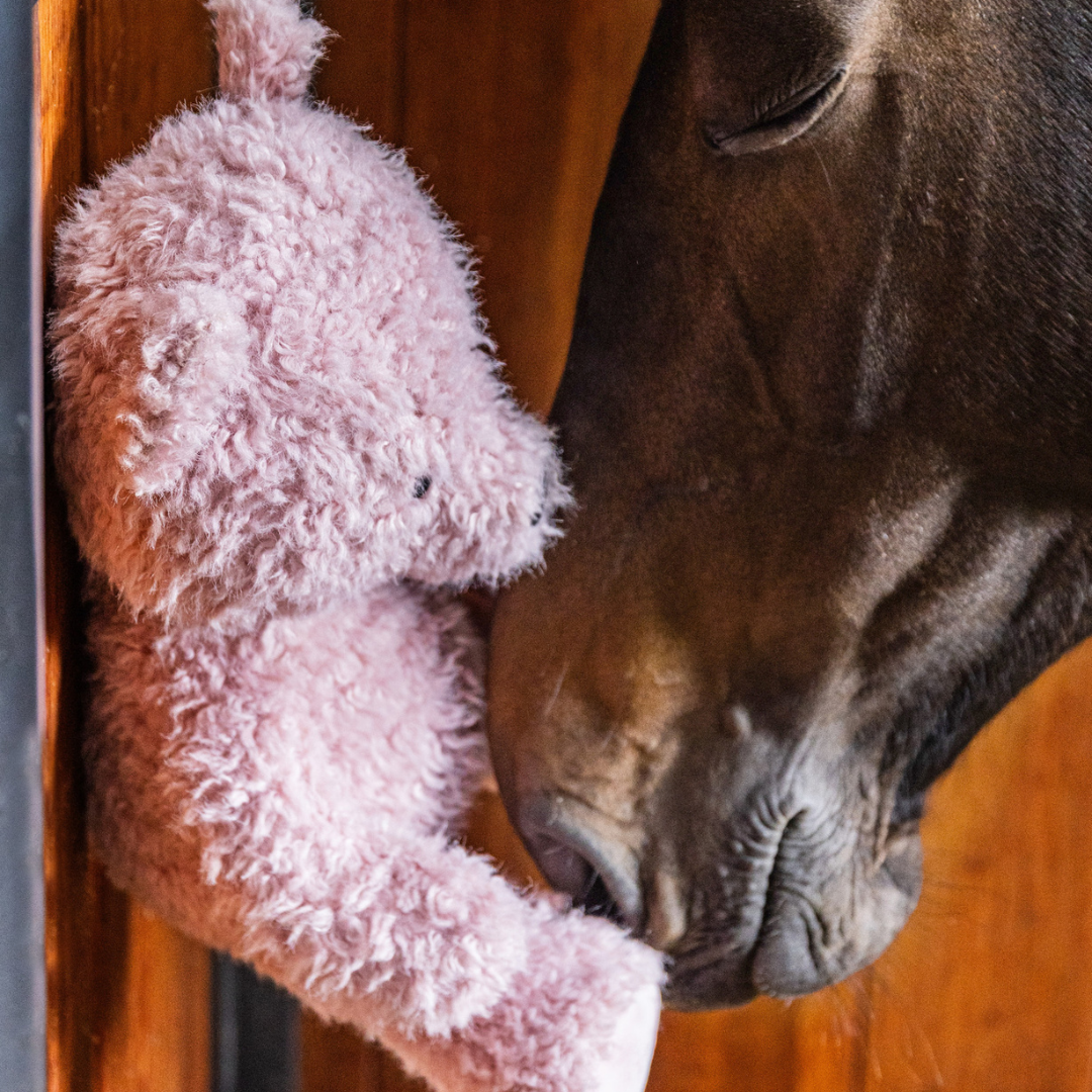 KENTUCKY RELAX HORSE TOY BEAR - 3