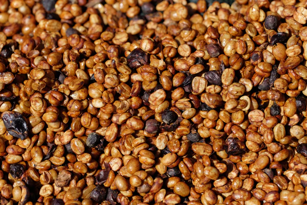 Paso Paso - Corazon Oscuro - Espresso and Brew - Mörkrostade hela kaffebönor - 1000g - 2