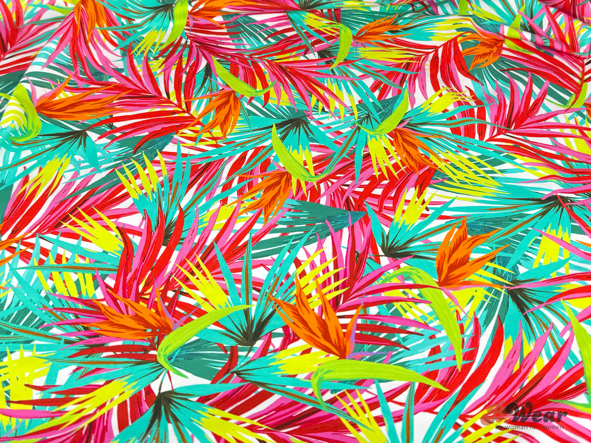 Colorful swimwear with on white