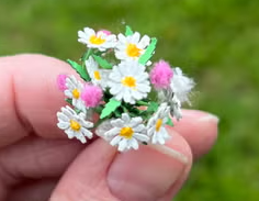 Prästkragar- blomkit - från Nukkekoti Väinölä - 2