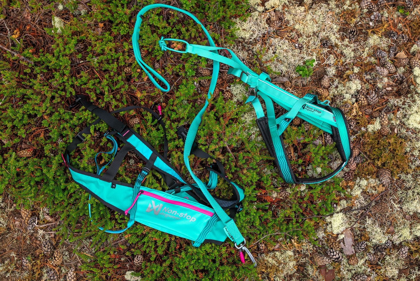Non-Stop Dogwear Canix Belt 2.0 - Aqua - 7