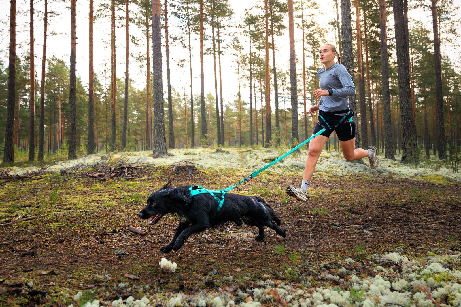 Non-Stop Dogwear Canix Belt 2.0 - Aqua - 6