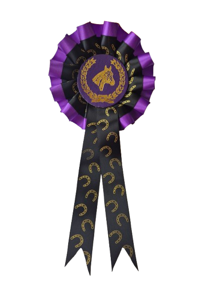 Horse rosettes with horseshoes in gold print, 6-pack with hook - 2