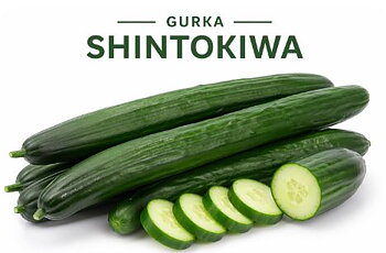 Gurka Shintokiwa – krispig japansk delikatess