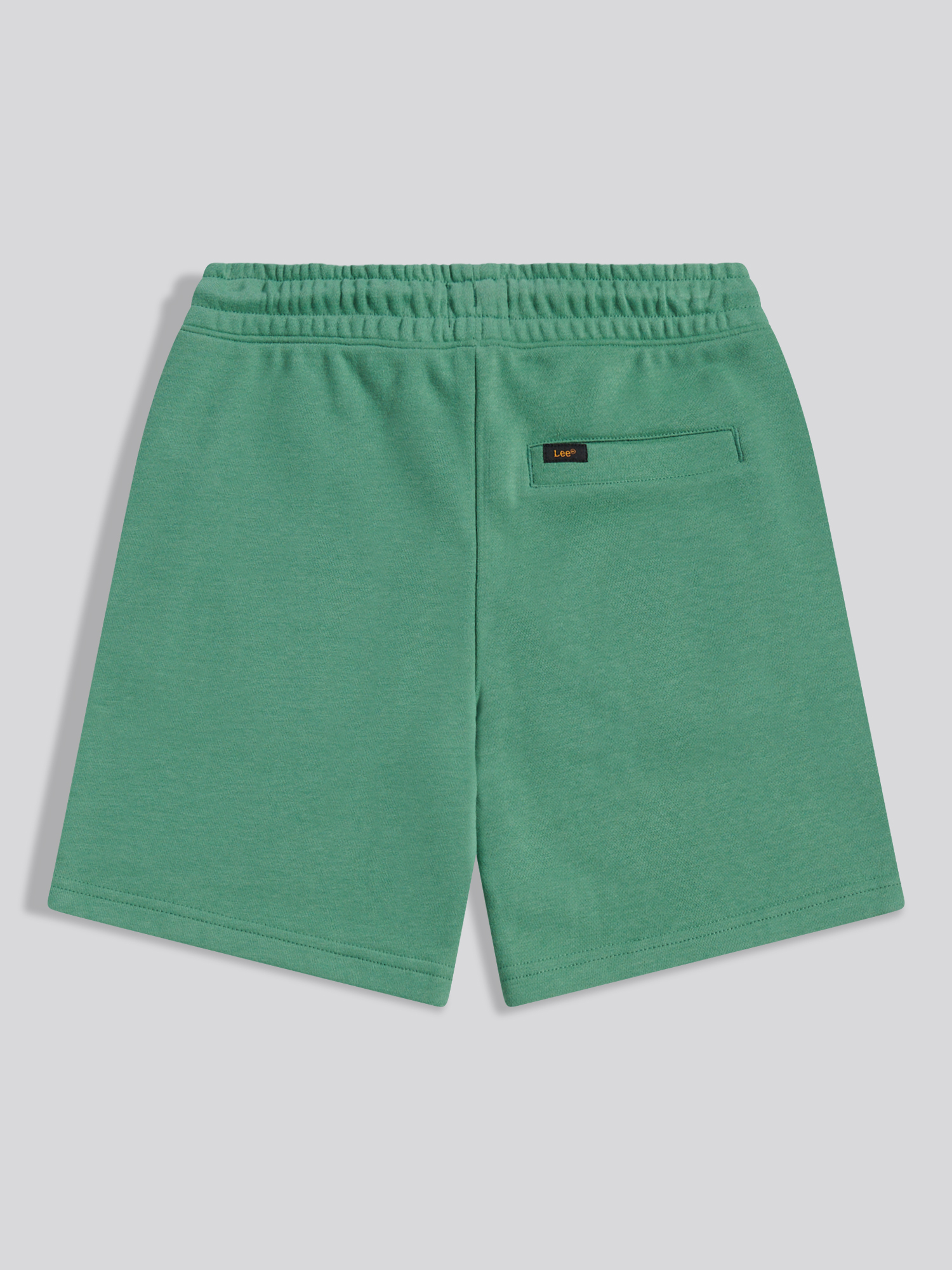 LEE BADGE LB SHORT Frosty Spruce - 2