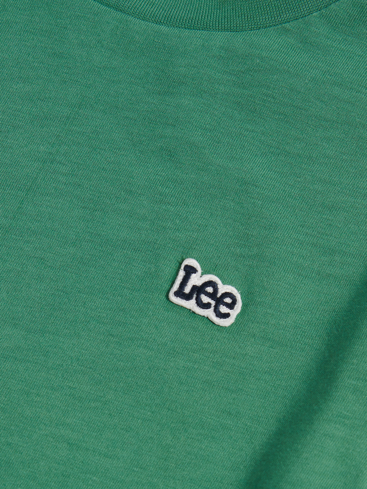 BADGE T-SHIRT Frosty Spruce - 3