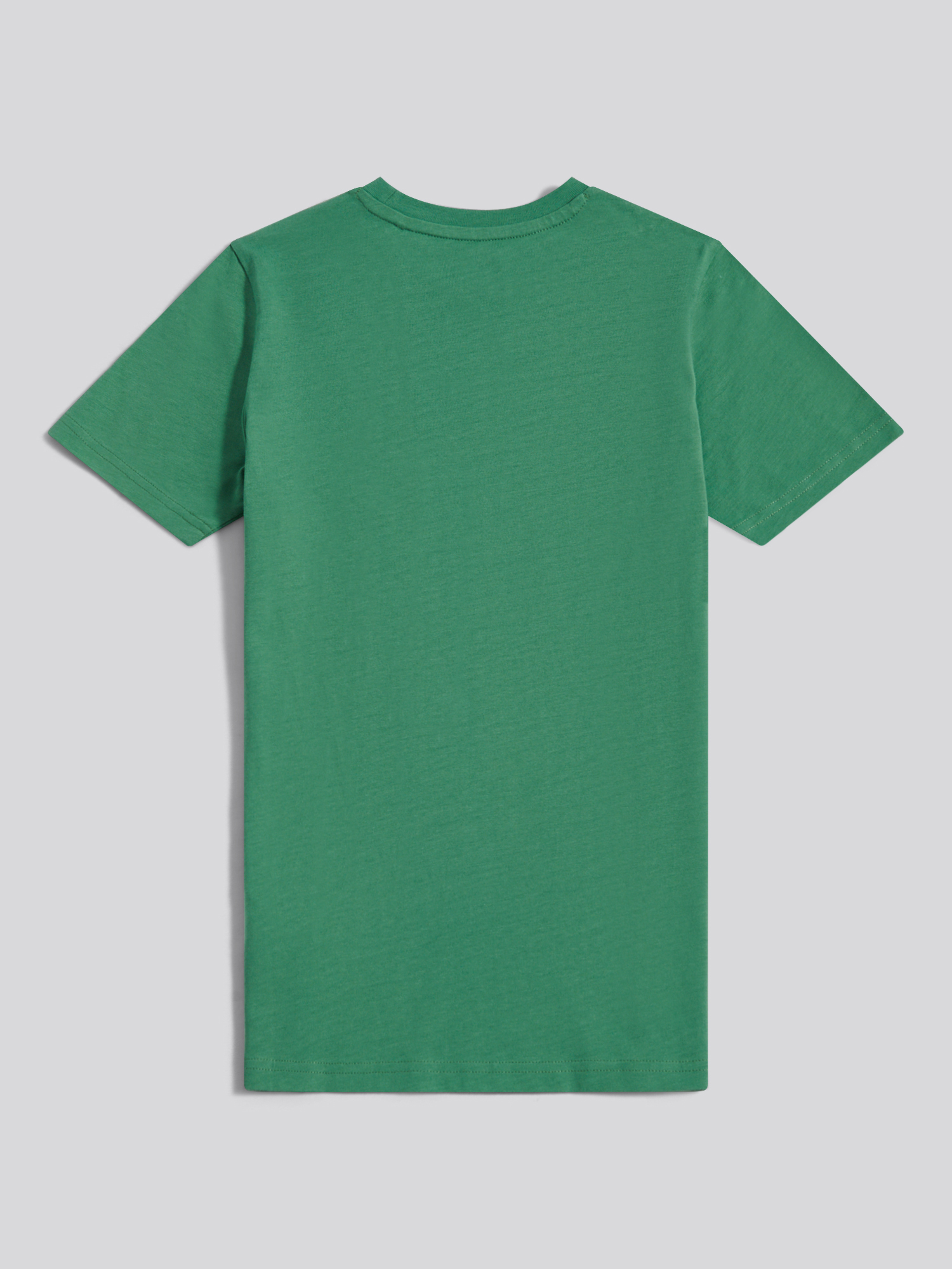 BADGE T-SHIRT Frosty Spruce - 2