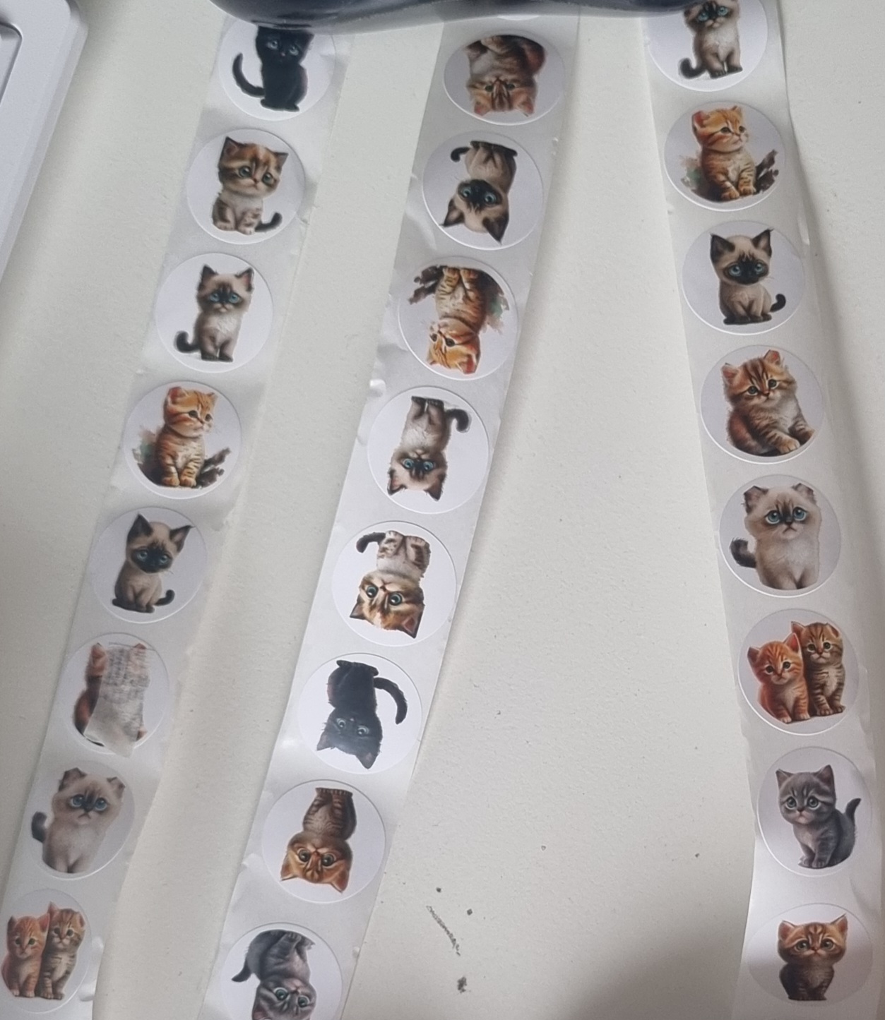 Stickerkatter på rulle "Kattungar"