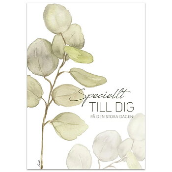 Vykort - Specielt till dig
