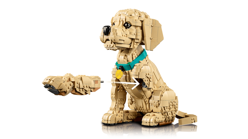 LEGO 11384 Golden retriever Valp - 7