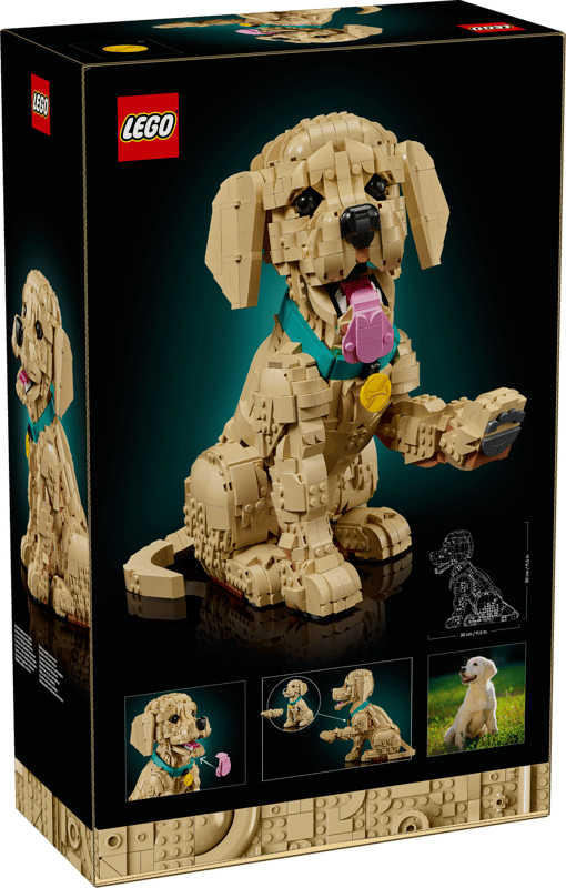 LEGO 11384 Golden retriever Valp - 17