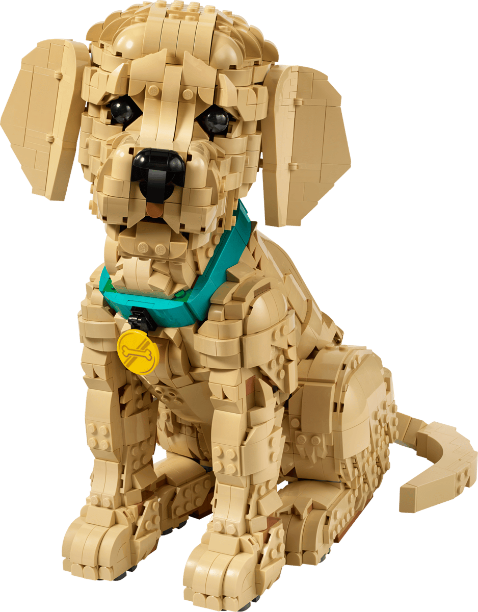 LEGO 11384 Golden retriever Valp - 2