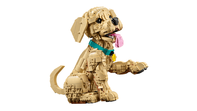 LEGO 11384 Golden retriever Valp - 3